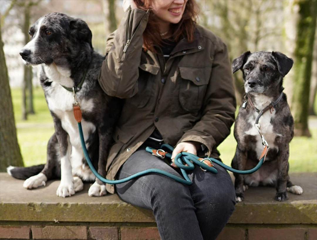 Leisegrün Verstellbare Hundeleine 2m | Freihand & 3fach verstellbar | Nur 260 g leicht | Für grosse