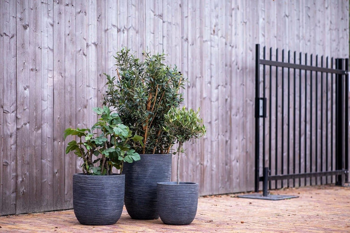 Capi Europe - Gefäss elegant niedrig Waste Rib NL - 34x46 - Terrazzo beige - Öffnung Ø27 - Blumentop