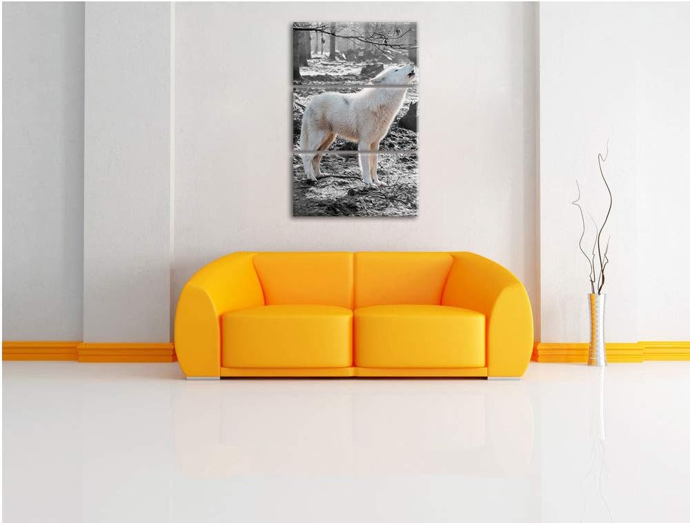 weisser jaulender Wolf im Wald schwarz/weiss 3-Teiler Leinwandbild 120x80 Bild auf Leinwand, XXL rie