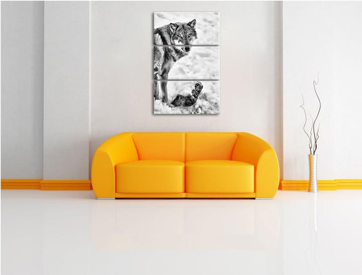 Pixxprint prächtiger Wolf im Schnee als Leinwandbild/Grösse: 3 Teilig (120x80) cm/Wandbild/Kunstdruc