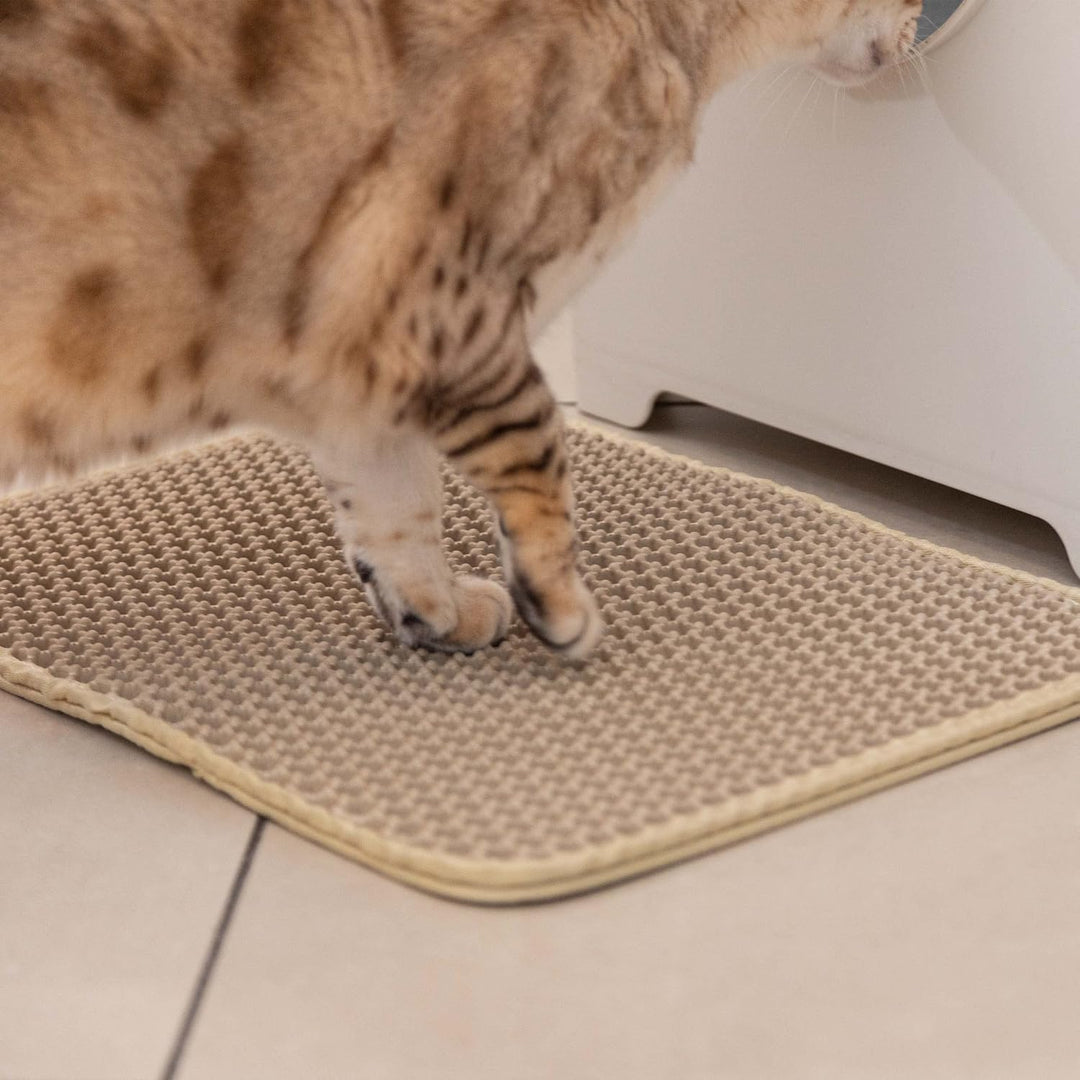 Katzenklo Matte Grau: Katzenmatte Katzenklo 30x40cm für Sauberkeit mit Katzenstreu - Katzentoilette