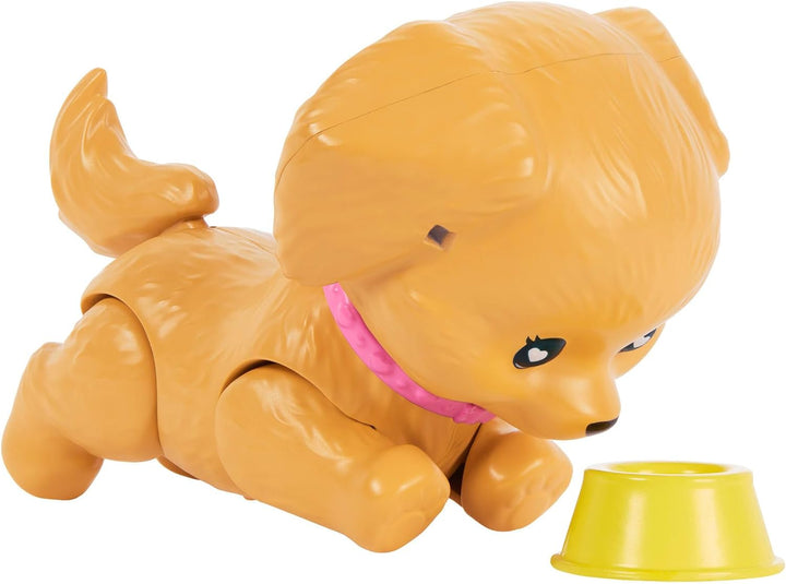 Barbie Brünette „Pets Skate and Run Puppe mit Rollschuh-Hündchen, Leine, passenden Rollschuhen, Sonn