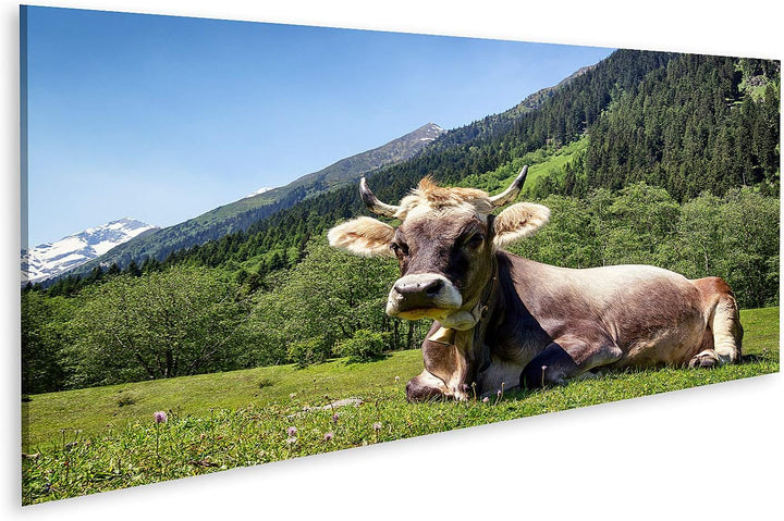 islandburner Bild auf Leinwand Kuh Europäische Alpen Bilder Wandbilder Poster Leinwand 120x40cm - Pa