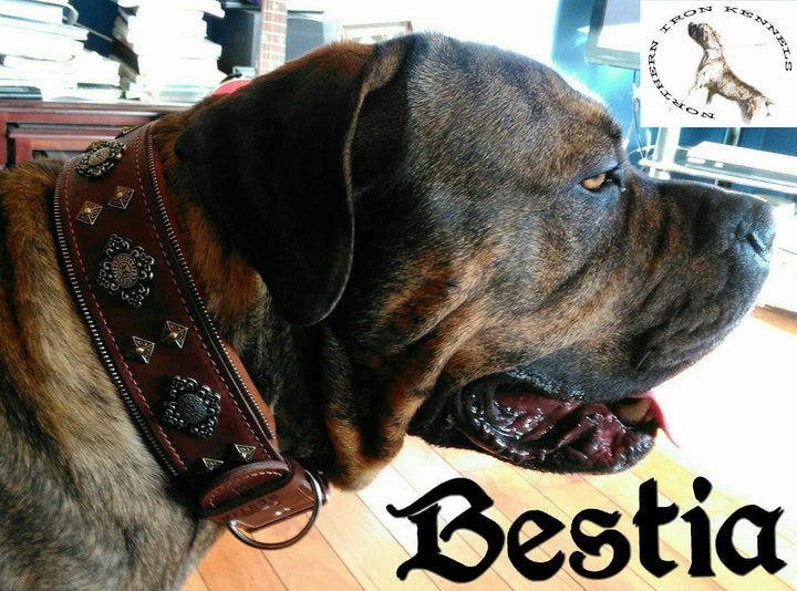 Bestia™ "Aztec Echtleder Hundehalsband für grosse Hunde. 100% Leder. Weich gepolstert. 6,3 cm breit.