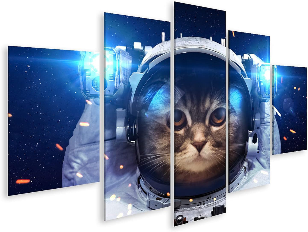 islandburner Bild auf Leinwand Schöne Katze Im Weltraum Wandbild Poster Kunstdruck Bilder Format: 17
