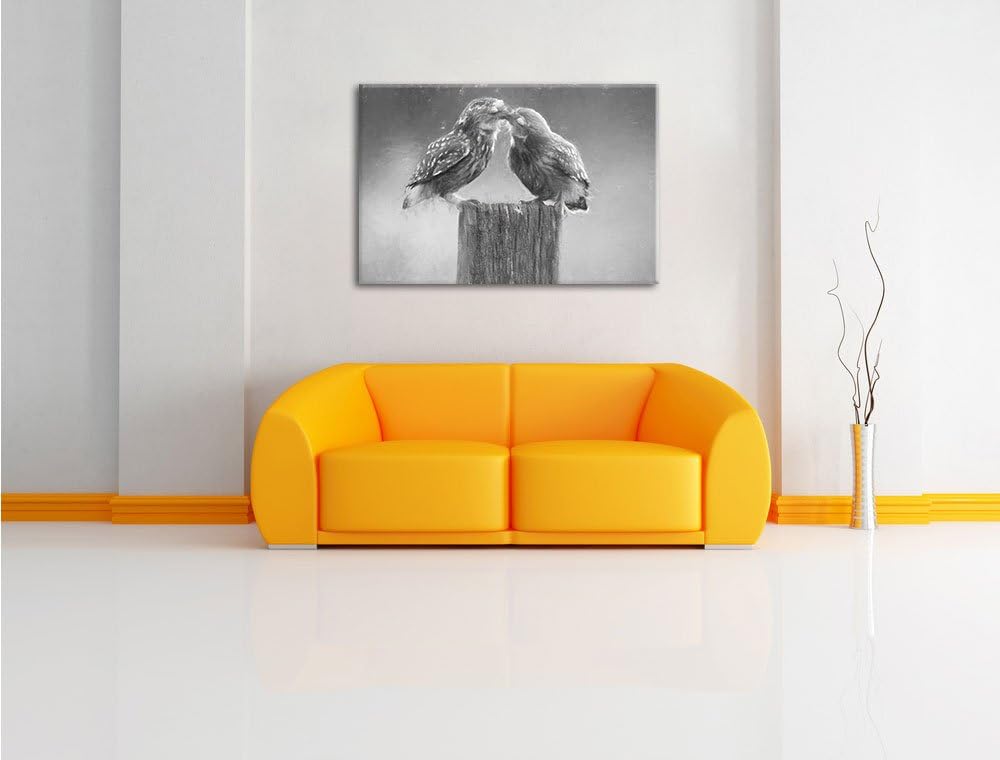 Pixxprint Küssende Eulen Kunst Kohle Effekt, Format: 100x70 auf Leinwand, riesige Bilder fertig gera