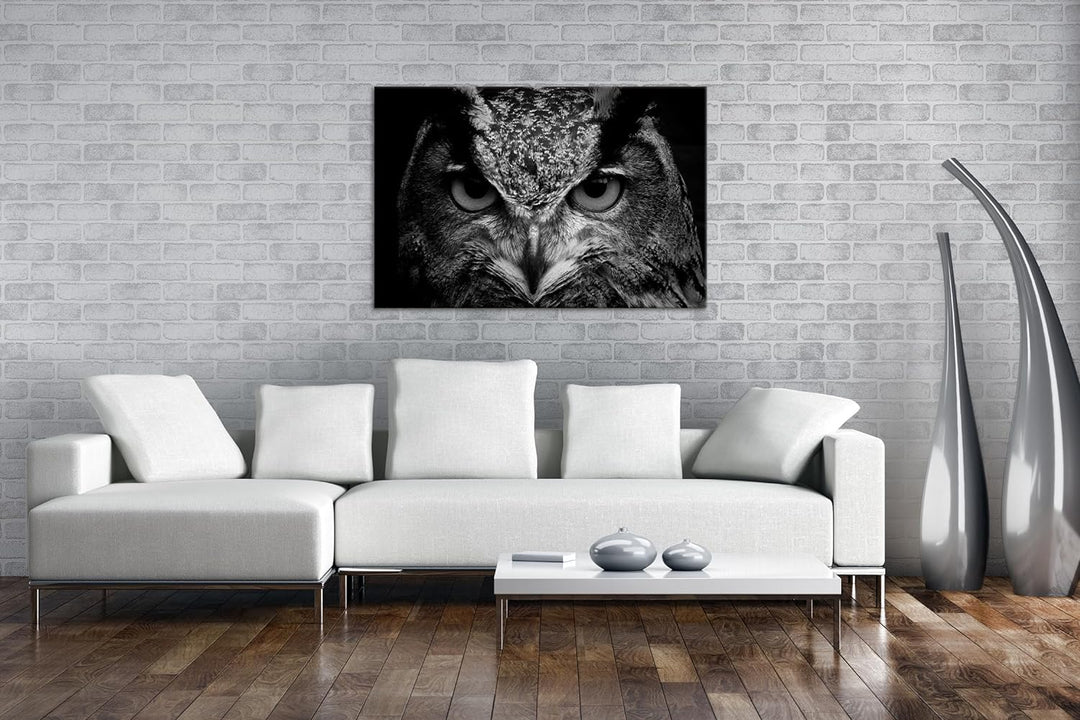 deyoli lauernde Augen einer Eule Format:90x60 cm Effekt: Schwarz/Weiss als Leinwandbild, Motiv ferti