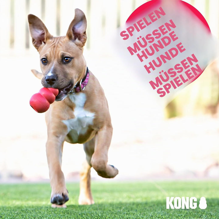 KONG – ZoomGroom – Bürste zur Hundepflege und zum Shampoonieren – Für Grosse Hunde (Rot) Rot Standar