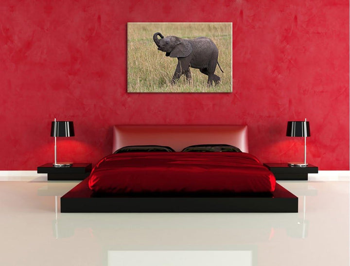 kleines Elefantenjunges Leinwand, XXL riesige Bilder fertig gerahmt mit Keilrahmen, Kunstdruck auf W