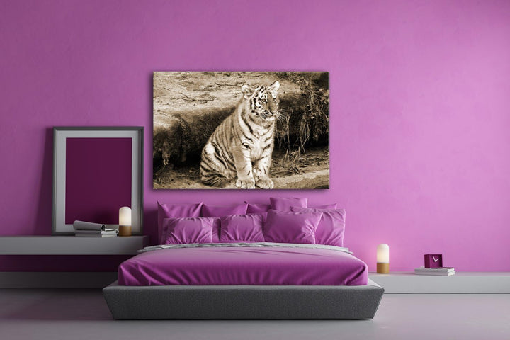 deyoli niedliches Tiger Jungtier Format: 80x60 Effekt: Sepia als Leinwandbild, Motiv fertig gerahmt