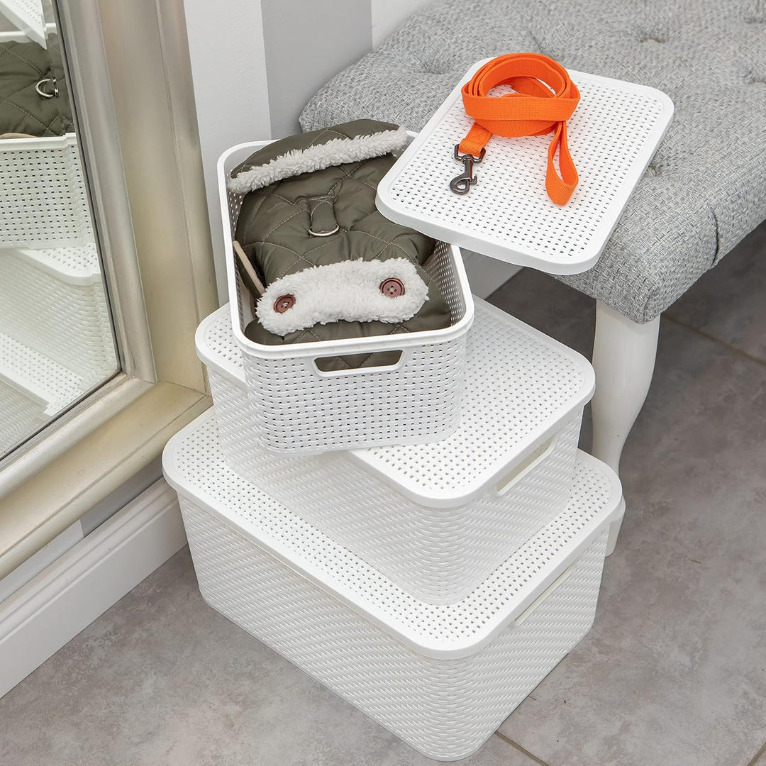 BranQ - Home essential Korb mit Deckel in Rattan Design 2er Set Grösse M 19 l, BPA-frei Kunststoff P