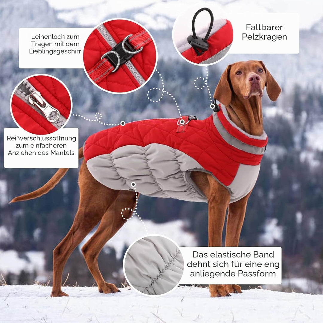 Kuoser Hundejacke Wintermantel für Grosse Hunde - Wasserdichte Winterweste Mit Geschirr - Warme Jack
