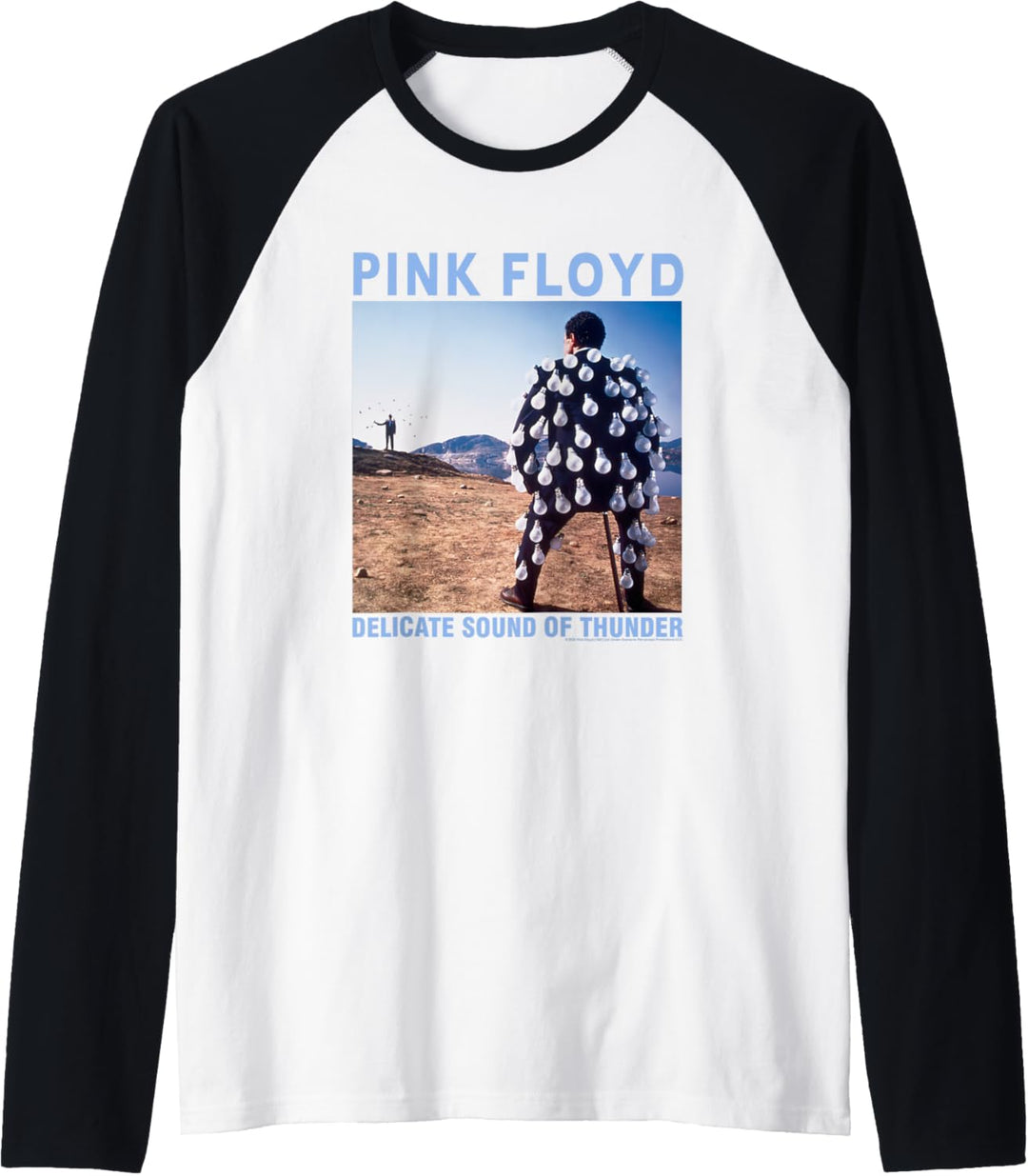 Pink Floyd Delicate Sound Raglan
