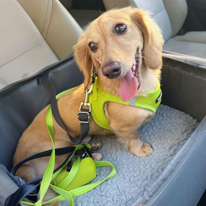 Voyager Step-In Air Hundegeschirr by Best Pet Supplies - All Weather Mesh Step in Vest Harness für k