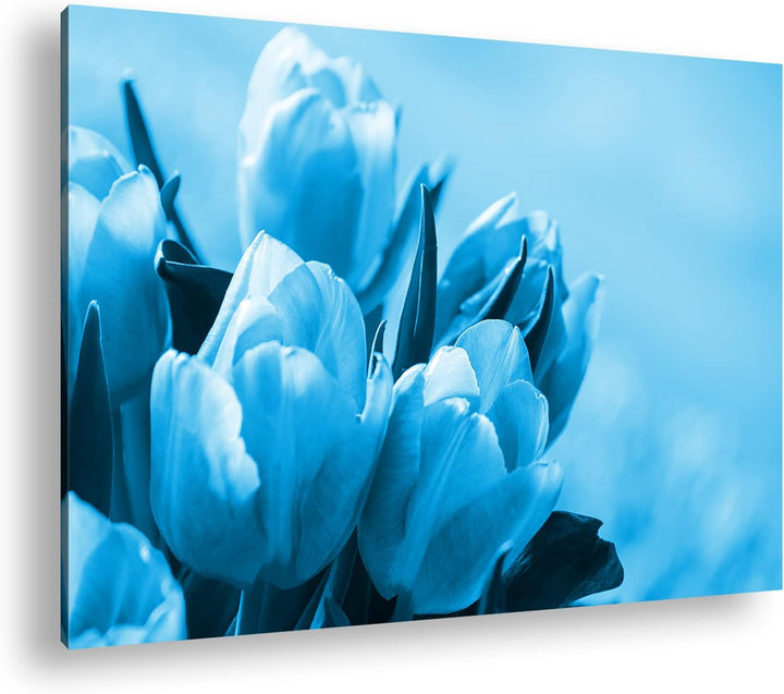 deyoli edle Tulpen Format: 100x70 Effekt: Monocrome Blau als Leinwand, Motiv fertig gerahmt auf Echt