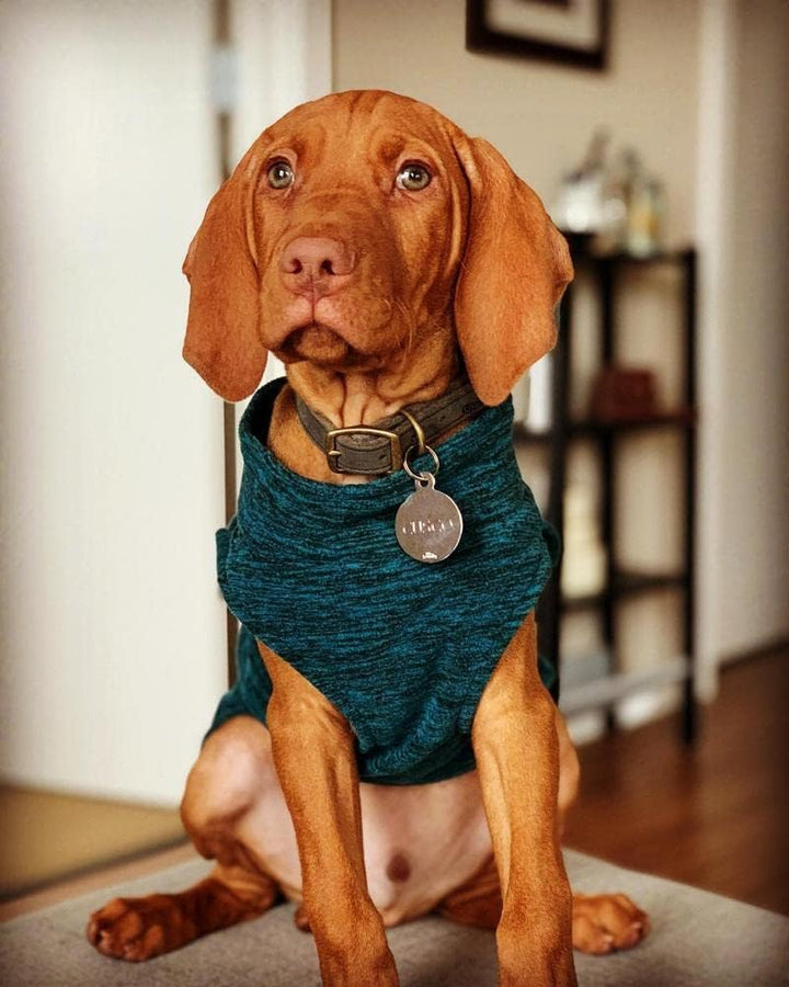 Gooby Zip Up Fleece-Weste für kleine Hunde, XXL Fuchsia Wash XXL, Fuchsia Wash XXL