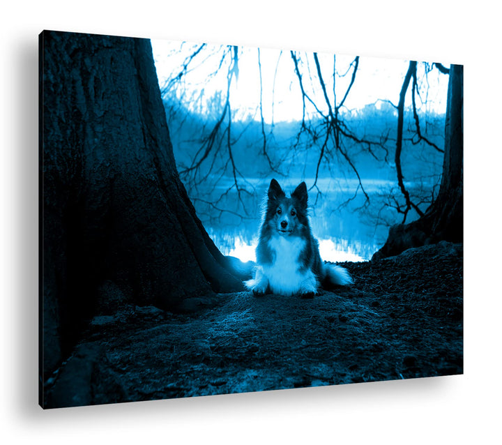 deyoli Niedlicher Hund beim Sonnenuntergang Format 80x60 Effekt: Monocrome Blau als Leinwandbild, Mo