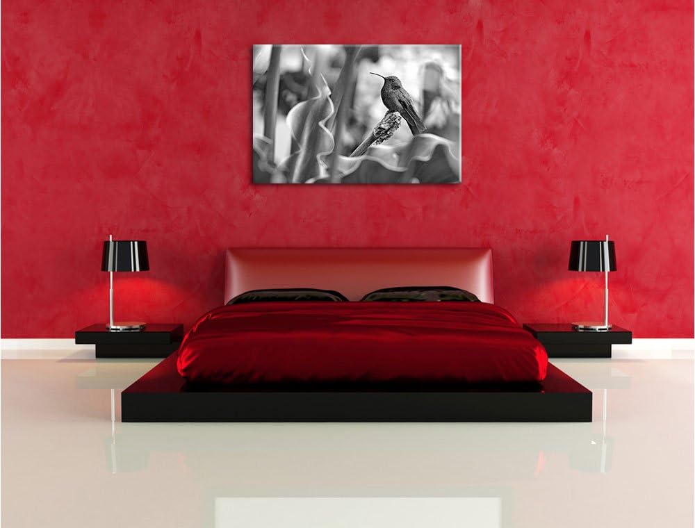 Pixxprint Kolibri in seinem Lebensraum als Leinwandbild/Grösse: 100x70 / Wandbild/Kunstdruck/fertig