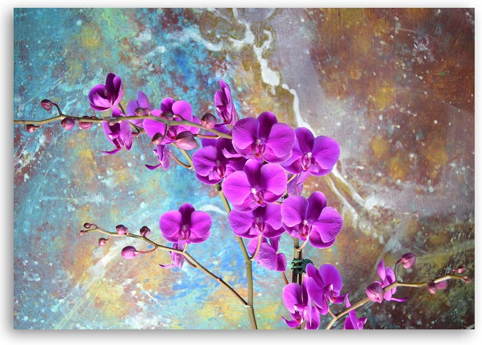 Feeby Wandbild Orchideen Druckbild Leinwandbild für Wohnung Violett 100x70 cm Leinwandbild 100x70 cm