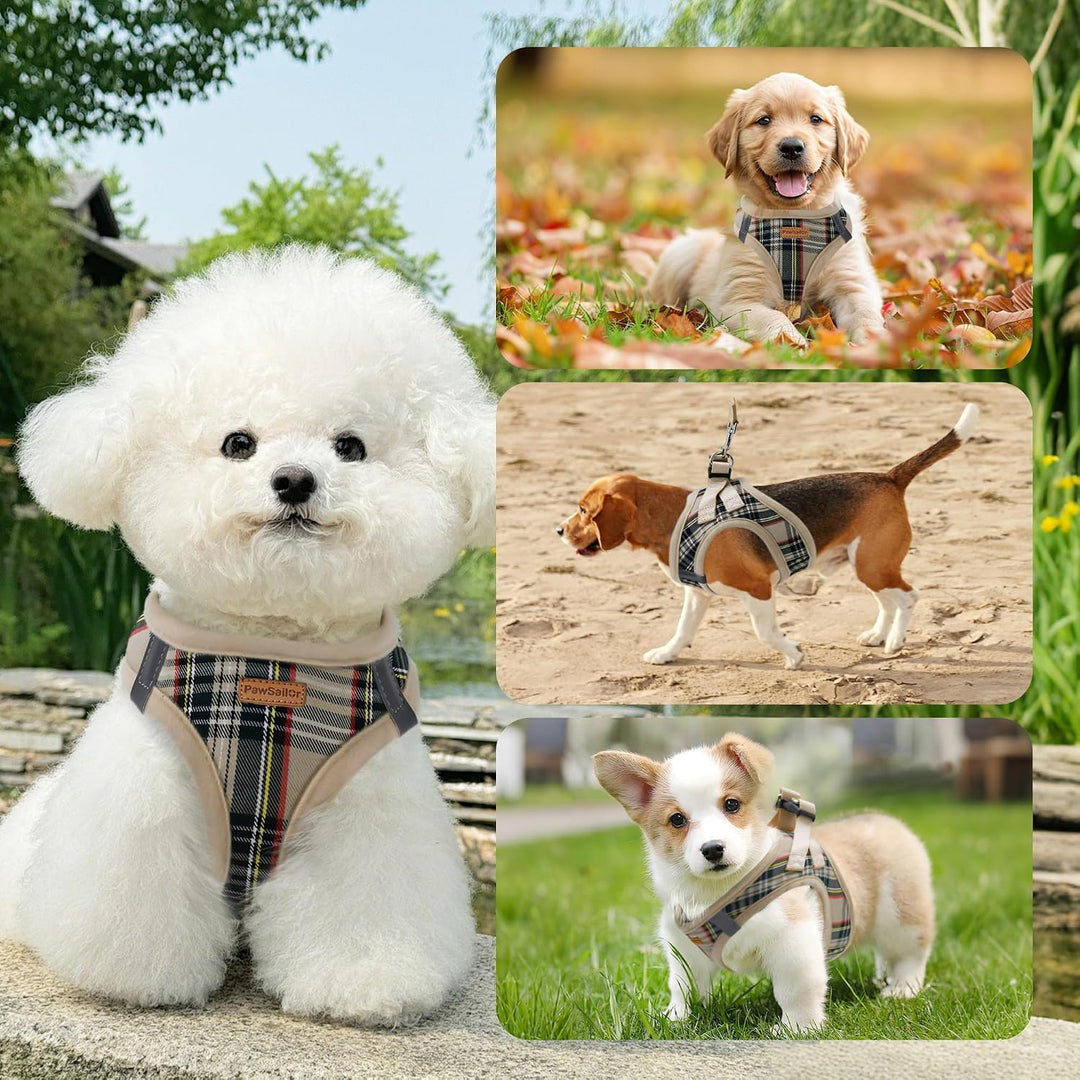Step-in Hundegeschirr Kleine Hunde mit Leine Anti-Zug Verstellbar Weiches Netzgewebe Welpengeschirr
