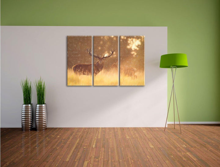 Pixxprint Rotwild im goldenen Morgenlicht als Leinwandbild/Grösse: 3 Teilig (120x80) cm/Wandbild/Kun