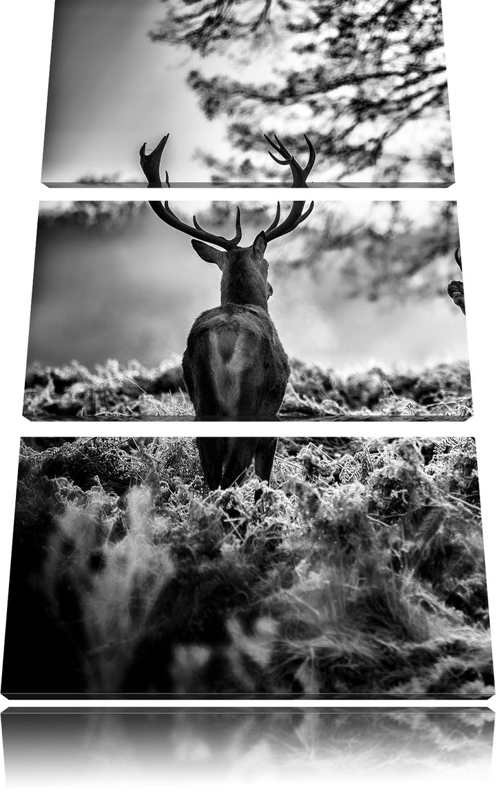 Pixxprint Monocrome, Hirsch Rivalen kämpfen 3-Teiler Leinwandbild 120x80 Bild auf Leinwand