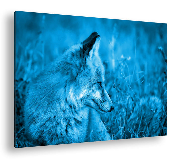 deyoli Kleiner Fuchs im Getreidefeld Format: 80x60 Effekt: Monocrome Blau als Leinwandbild, Motiv fe