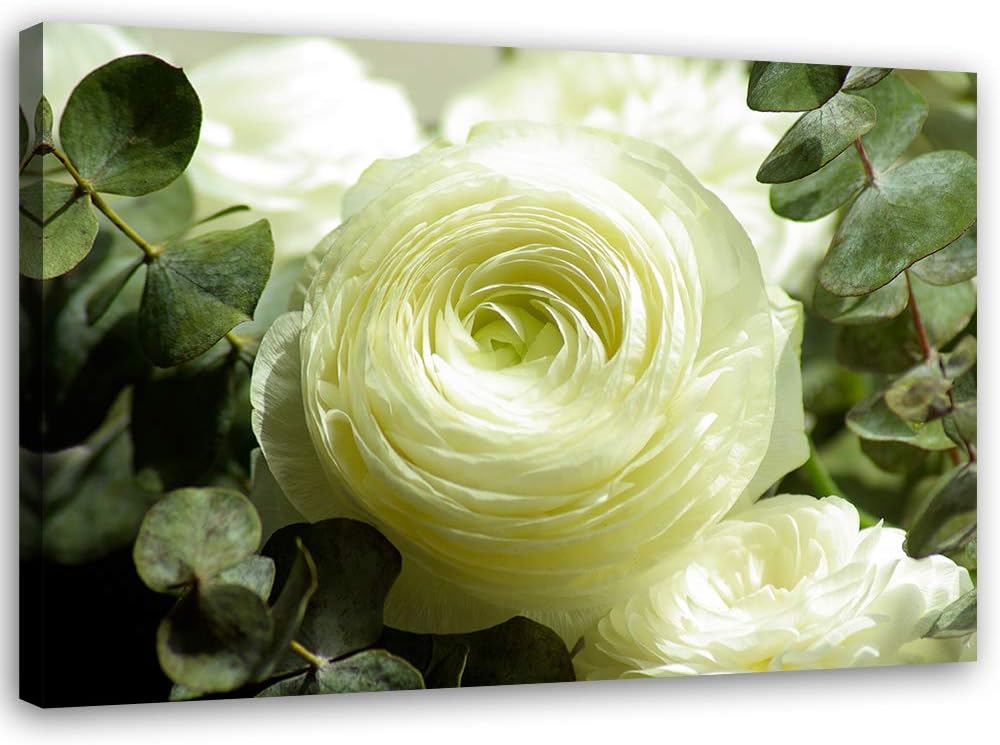 Feeby Bild auf Leinwand Blumen Weisse Rosen XXL 120x80 cm 1Teilig Wohnzimmer Schlafzimmer Modern Bil