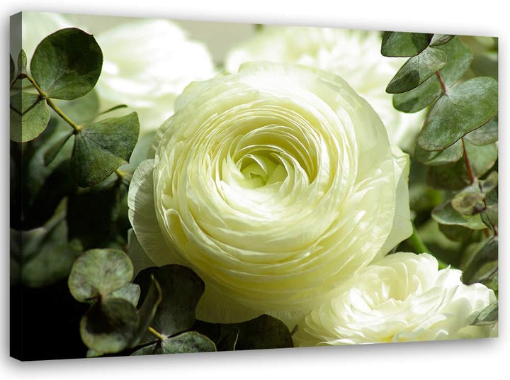 Feeby Bild auf Leinwand Blumen Weisse Rosen XXL 120x80 cm 1Teilig Wohnzimmer Schlafzimmer Modern Bil