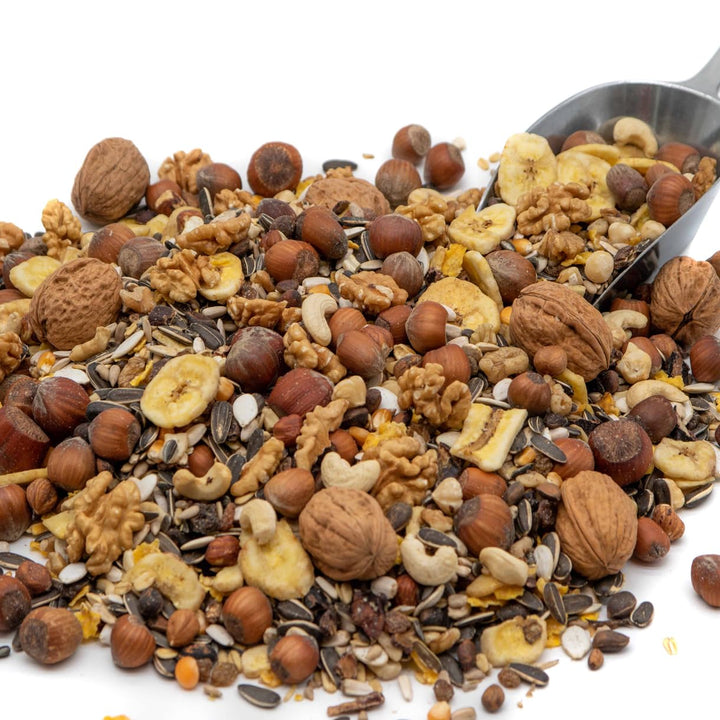 Paul´s Mühle Eichhörnchenfutter Gourmet 5 kg, 5 kg (1er Pack)