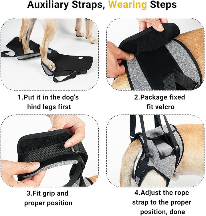 Tragehilfe Hund Gross, Tragehilfe Hund Hinterbein s, Dog Back Leg Support, Dog Carrying Aid, Verstel