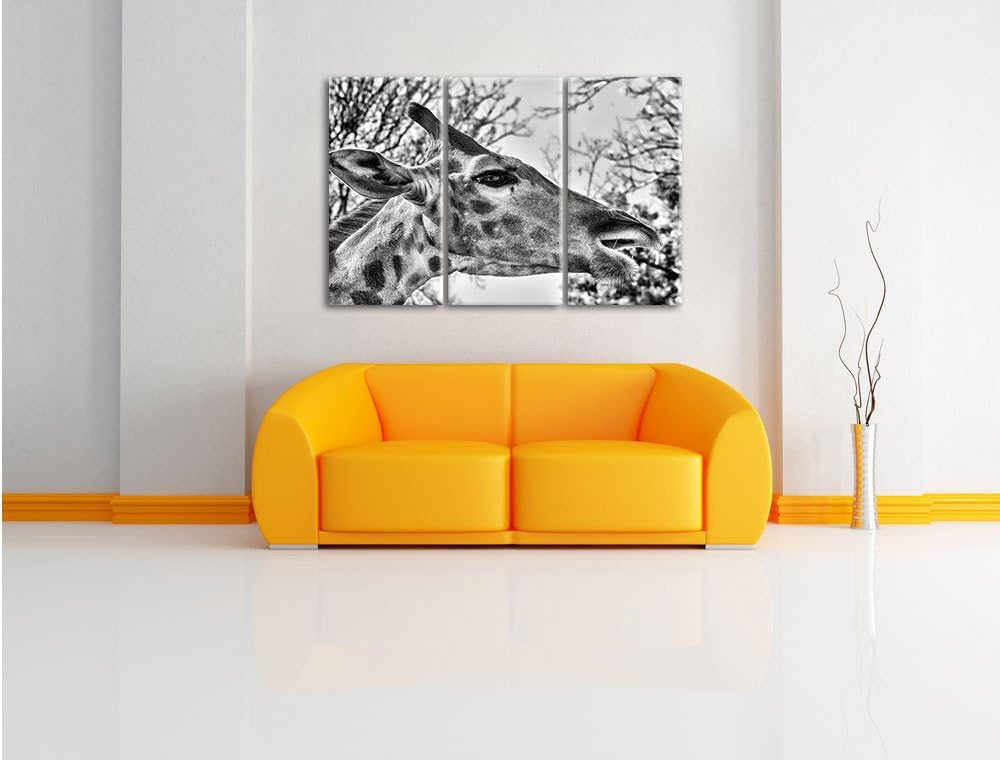 Pixxprint anmutige Giraffe isst als Leinwandbild/Grösse: 3 Teilig (120x80) / Wandbild/Kunstdruck/fer