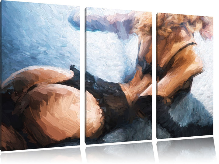 Pixxprint Frau in sexy Dessous als Leinwandbild/Grösse: 3 Teilig (120x80) cm/Wandbild/Kunstdruck/fer