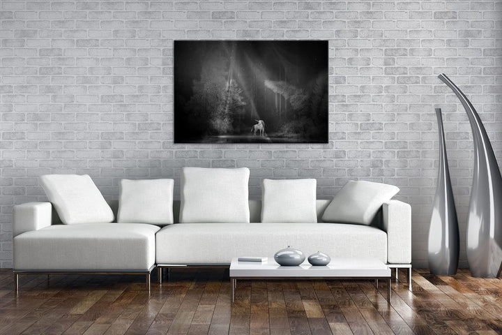 deyoli Einhorn auf einer Waldlichtung Format: 80x60 Effekt: Schwarz&Weiss als Leinwandbild, Motiv fe