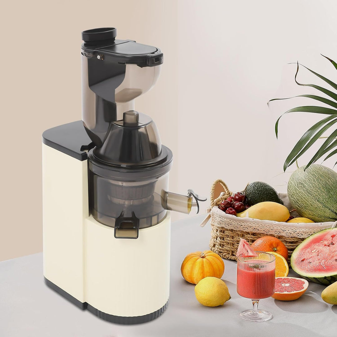 Standmixer Saftpresse für Obst Gemüse mit 48 Umin Schnecke
