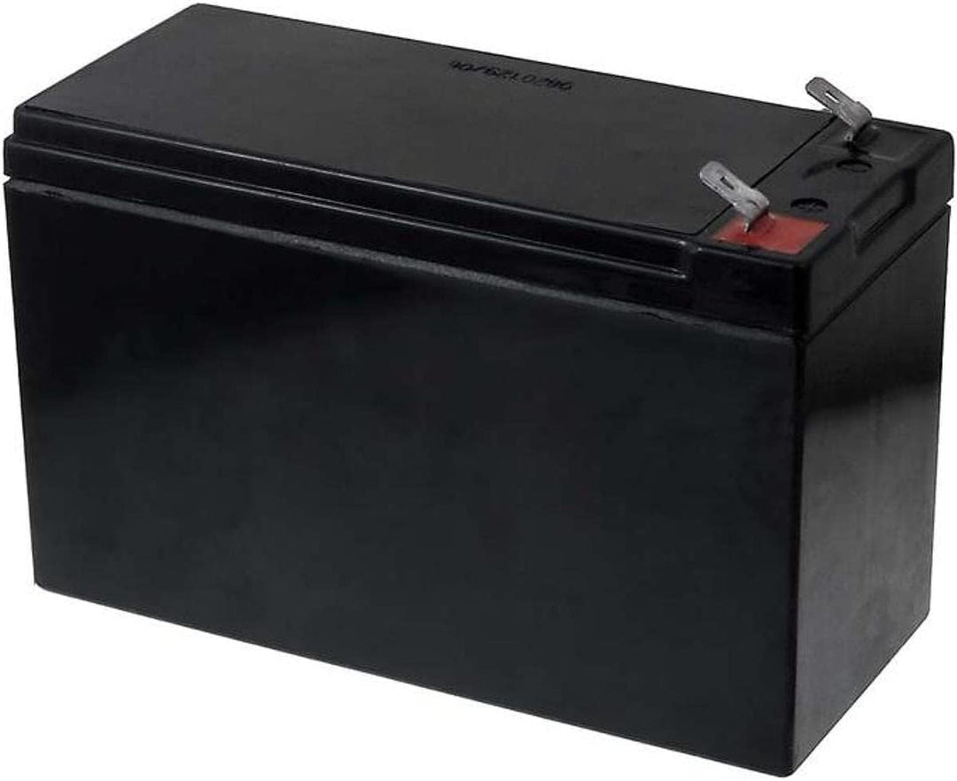 FIAMM 12FGH36 9 Ah 12 V Wechselrichter-Batterie – Batterien des Wechselrichters (9 Ah, 12 V, 5 Jahre