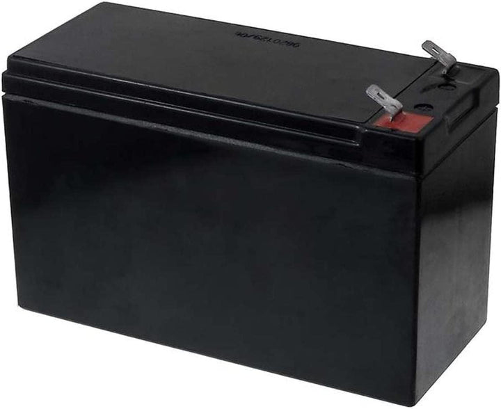 FIAMM 12FGH36 9 Ah 12 V Wechselrichter-Batterie – Batterien des Wechselrichters (9 Ah, 12 V, 5 Jahre