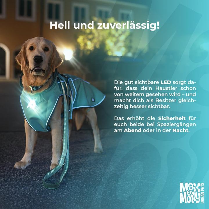 Max & Molly Matrix 2.0 Ultra LED, Hundelicht für Geschirr, Leine & Halsband, Jade, Wasserfest, USB W