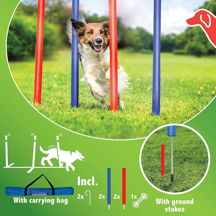 maxxpro Agility Slalom Set - Set Agility für Hunde - 60 x 3 cm - Kunststoff - Blau/Rot