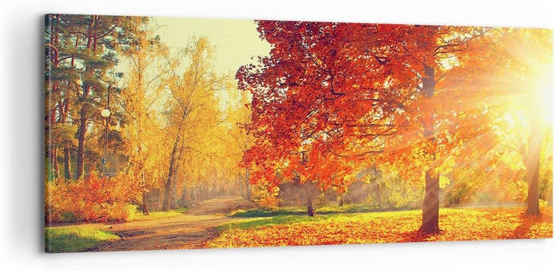 Panorama Bilder auf Leinwand 100x40cm Leinwandbild Park Herbst Baum Gross Wanddeko Bild Schlafzimmer