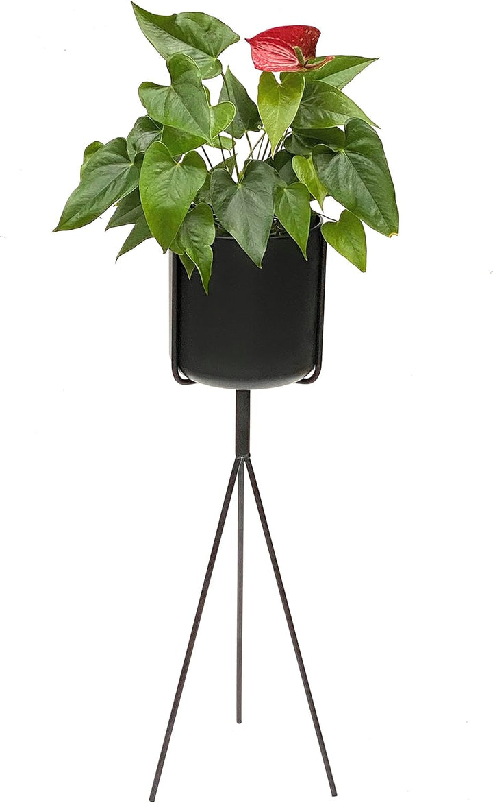 DanDiBo Blumenständer mit Topf Metall Schwarz 80 cm Blumenhocker 96022 Blumensäule Modern Pflanzenst