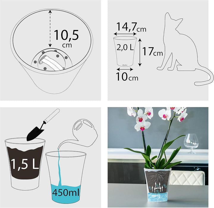Santino 6er-Set Orchideentopf transparent mit selbstbewässerndem Dochtsystem - D 15 cm - Transparent