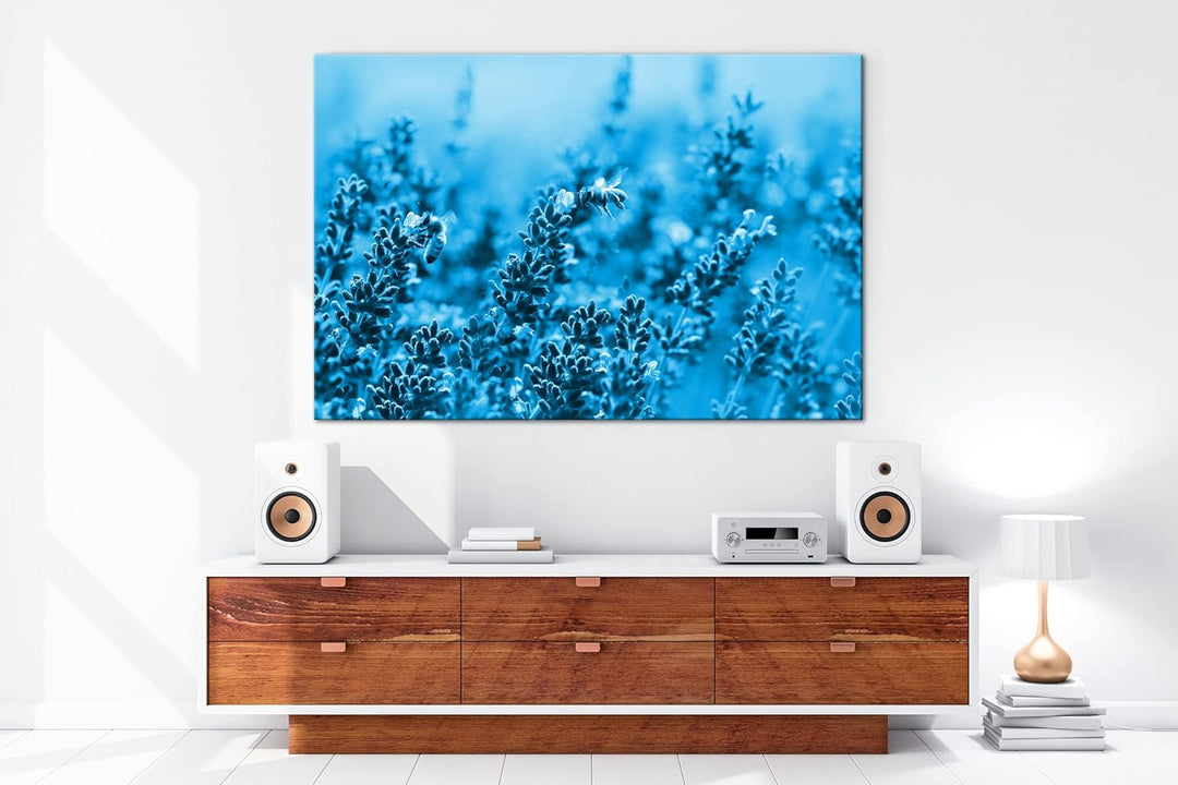 deyoli Bienen im blühenden Lavendel Format: 80x60 Effekt: Monocrome Blau als Leinwandbild, Motiv fer