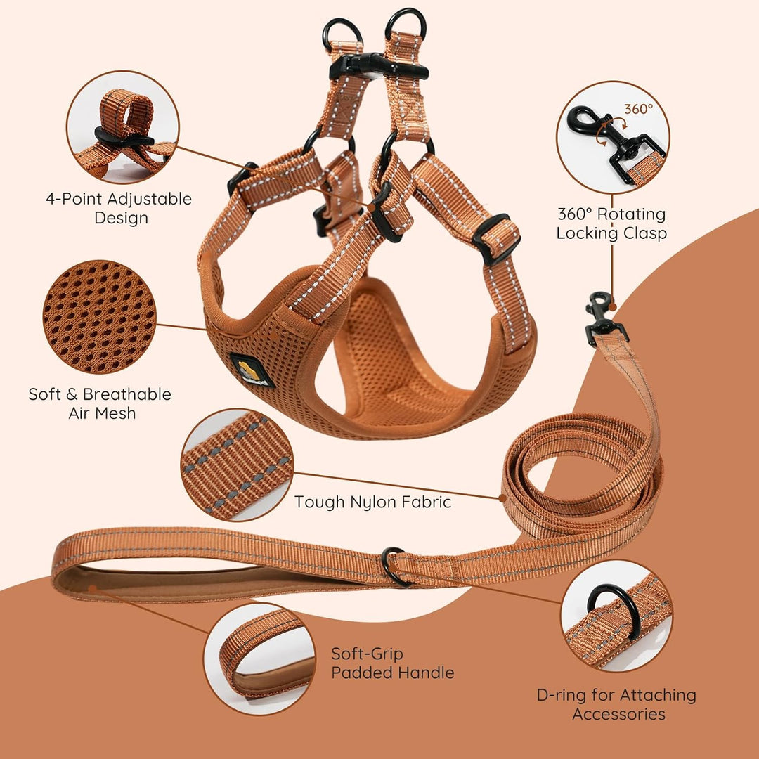 BELLA &amp; PAL Hundegeschirr und Leine Set, Step-in Design mit atmungsaktivem Air-Mesh, reflektierenden