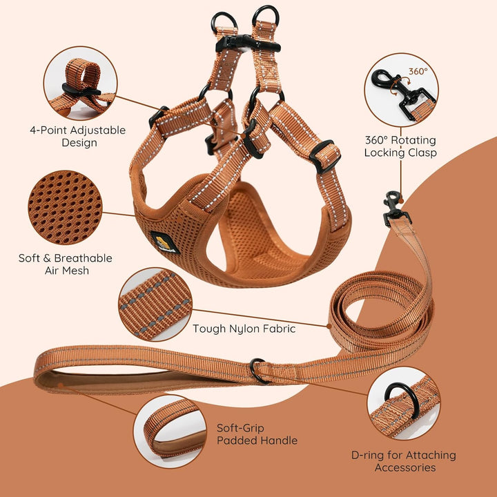 BELLA &amp; PAL Hundegeschirr und Leine Set, Step-in Design mit atmungsaktivem Air-Mesh, reflektierenden