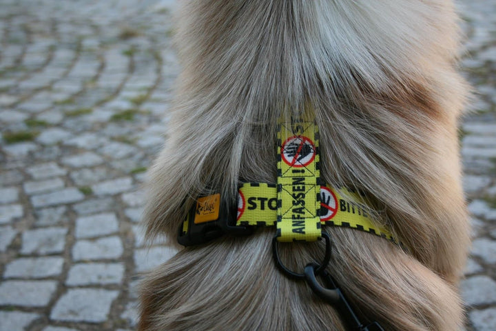 Dingo Hundegeschirre Guard Gelb Bitte Nicht Anfassen Grosse M Breite Band 3,0 cm 38-70 cm 95381, M