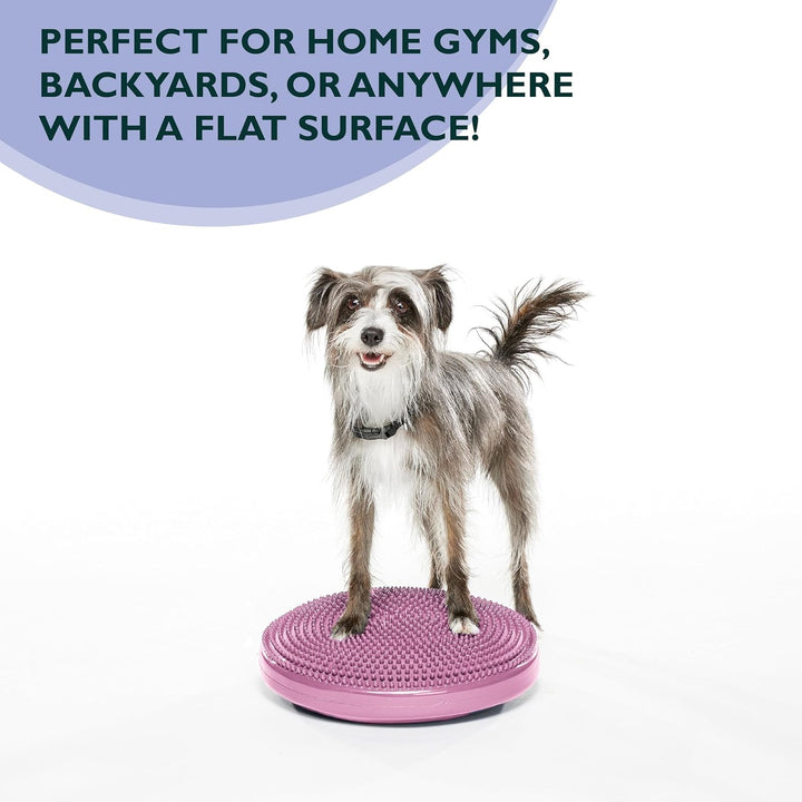 Fitpaws Balance-Disc für Hunde, 14", Violett