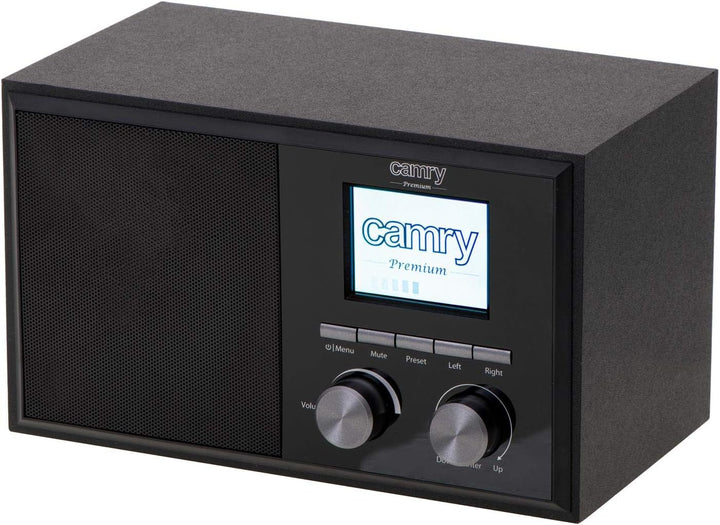 CAMRY CR 1180 DAB Internetradio Digitalradio Über 20.000 Sender Weltweit Wi-Fi Verbindung AUX Wetter