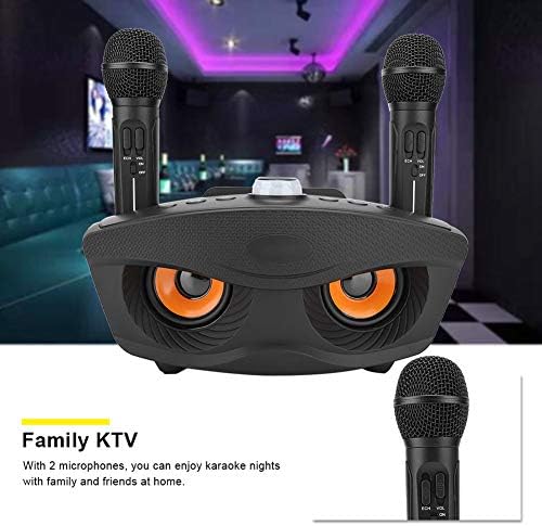 Bewinner Kabelloser Karaoke, Heim Bluetooth Lautsprecher mit Zwei Mikrofonen, Mikrofon Tragbarer Kar