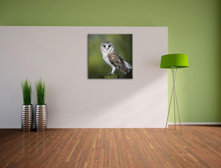 Pixxprint Eule, Format: 70x70 auf Leinwand, XXL riesige Bilder fertig gerahmt mit Keilrahmen, Kunstd